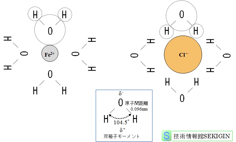 水の構造とアクアイオン（模式図）