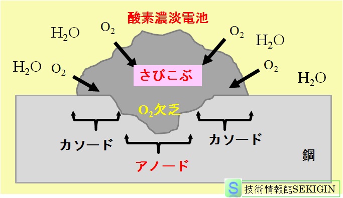 さびこぶ下の腐食（通気差電池）の模式図