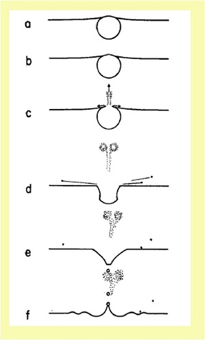 海水滴の発生機構(模式図)