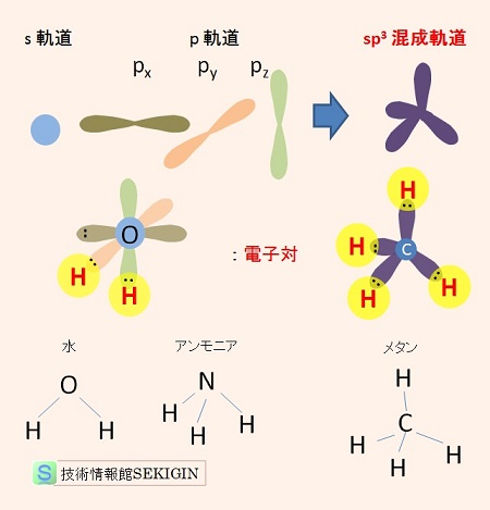 電子軌道と共有結合