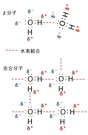 水分子の会合