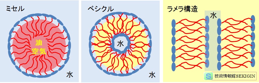 界面活性剤の水溶液中での構造例