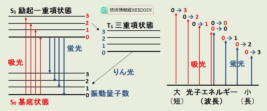 光吸収と蛍光・りん光の関係（模式図）
