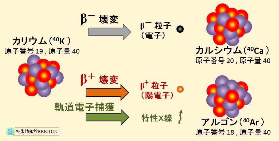 β壊変の例（イメージ図）