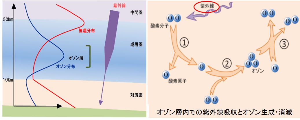 大気の構造とオゾン層の役割