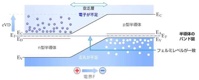  np 接合の概念図