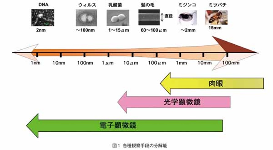 観察手段の分解能比較