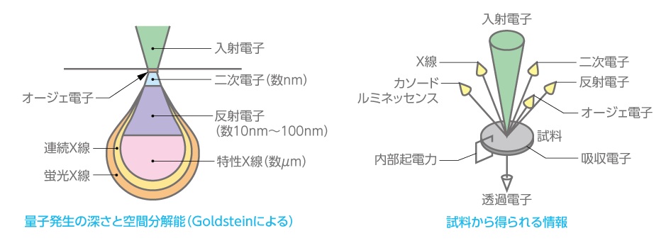 電子照射で得られる情報