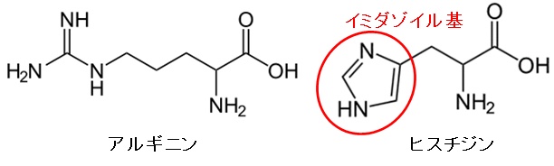 分子構造例