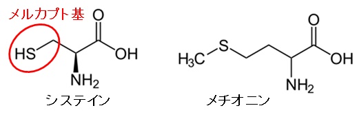 分子構造例