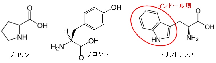 分子構造例