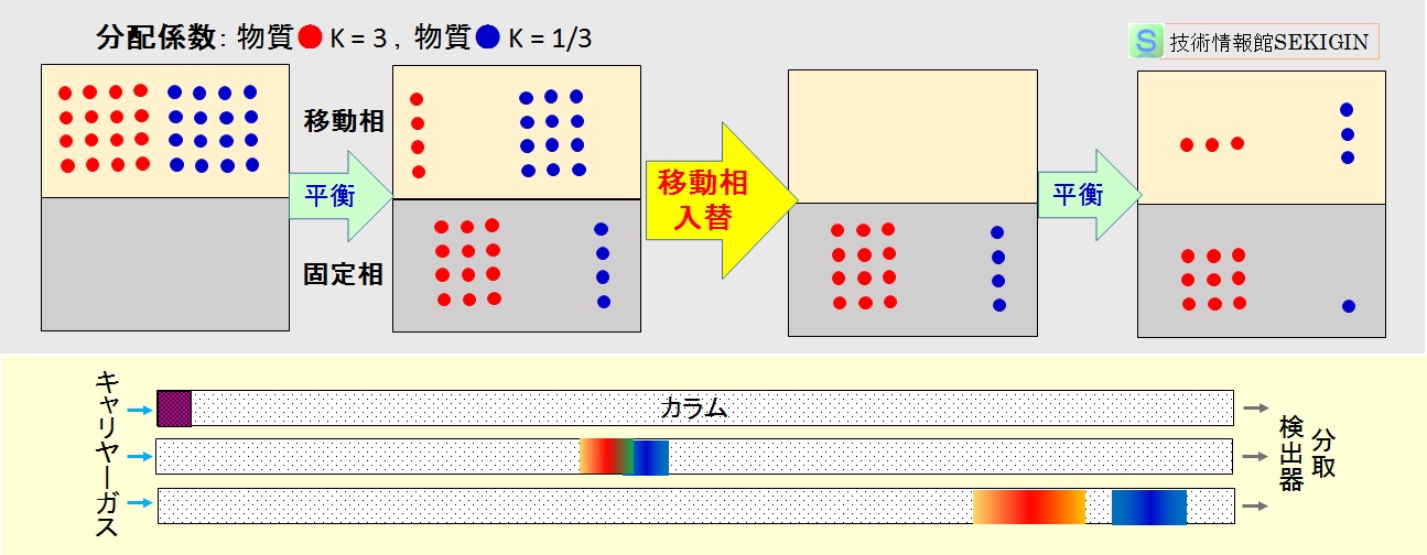 分配係数と物質移動（模式図）