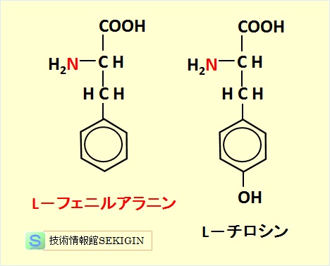 芳香族アミノ酸