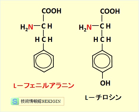 芳香族アミノ酸
