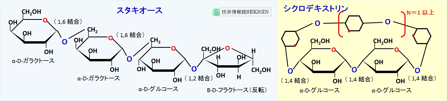 スタキオースとシクロデキストリン