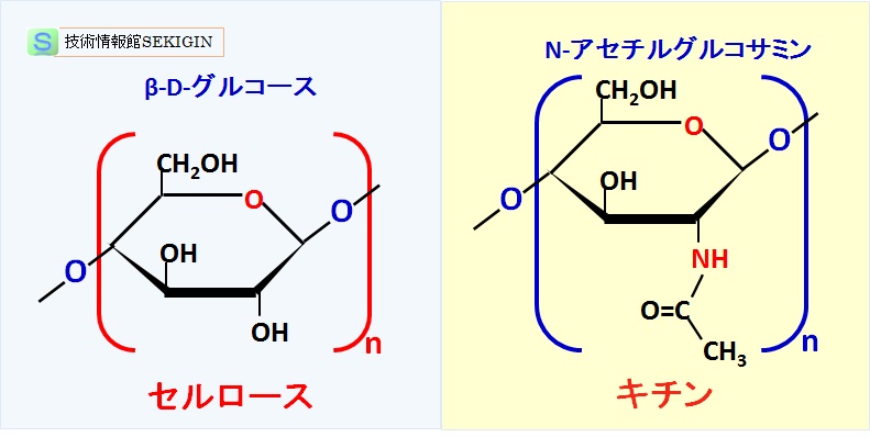 セルロース，キチンの構造