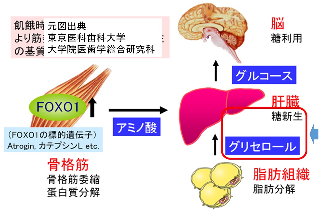 代謝