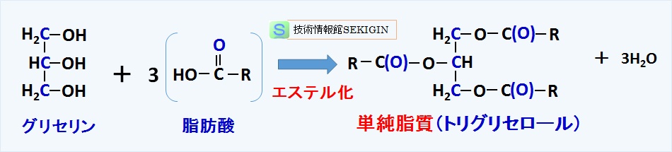 単純脂質の構造例