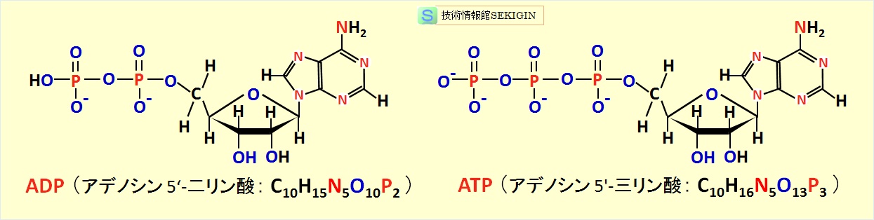 ADP，ATP 