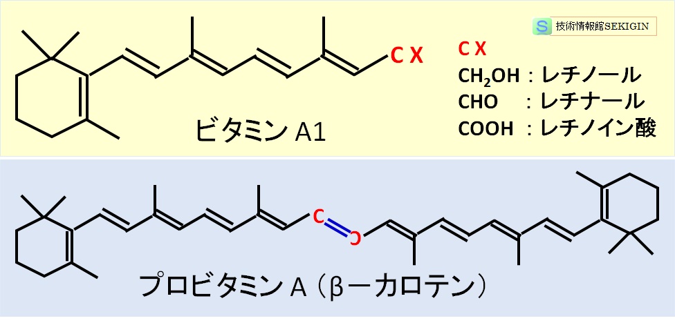 ビタミン A の例